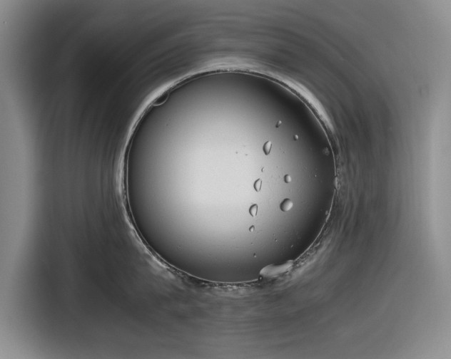 X0000116580815200912171522