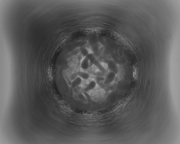 X0000116580819200912171522