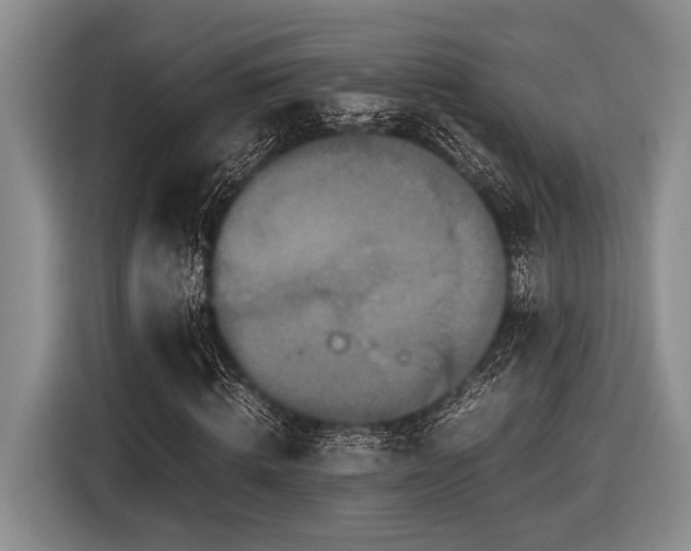 X0000116580820200912171522