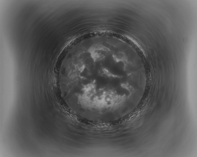 X0000116580823200912171522