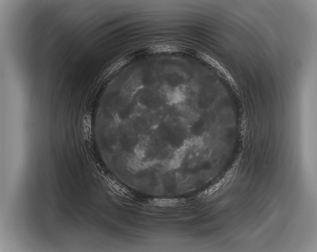 X0000116580825200912171522