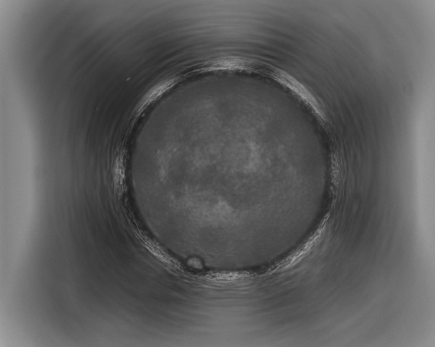 X0000116580826200912171522