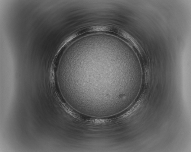 X0000116580827200912171522