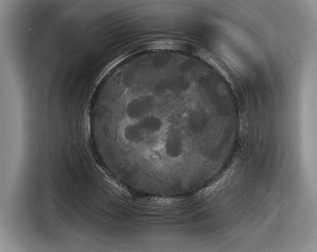 X0000116580829200912171522