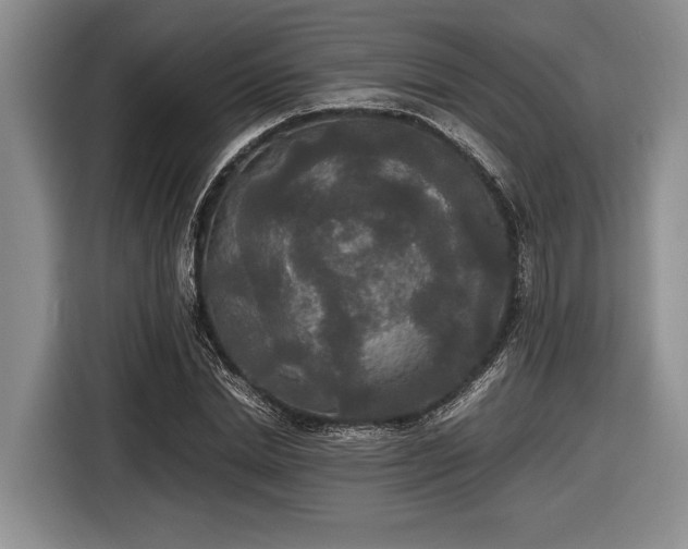 X0000116580830200912171522