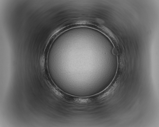 X0000116580831200912171522