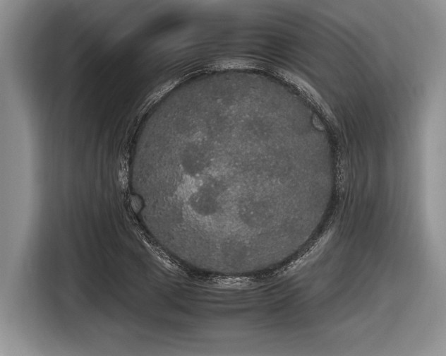 X0000116580833200912171522