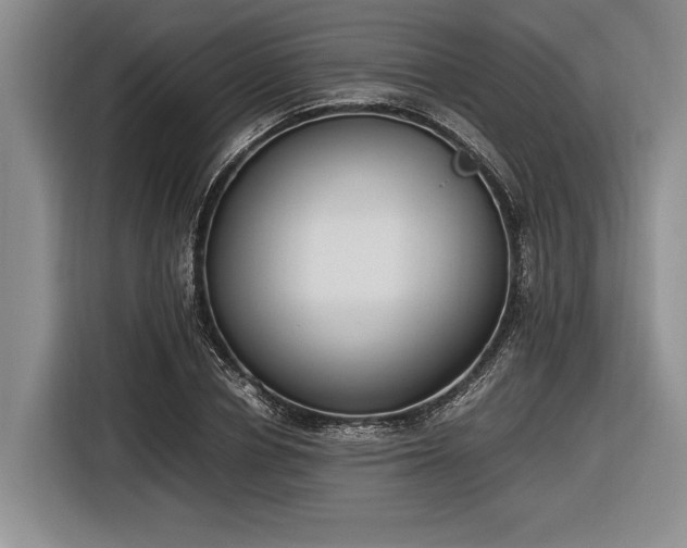 X0000116580834200912171522