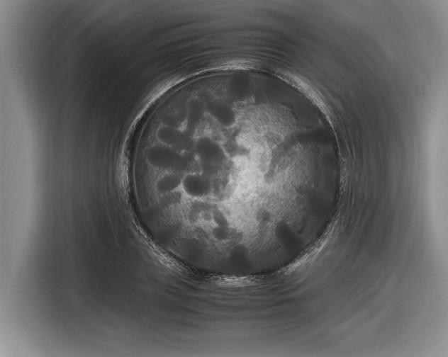 X0000116580835200912171522