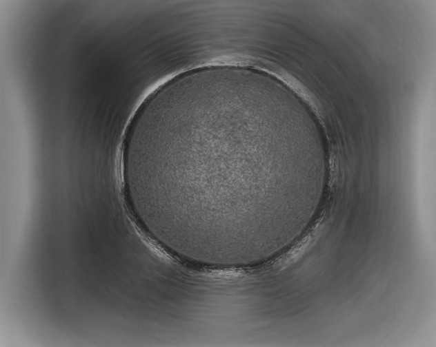 X0000116580838200912171522