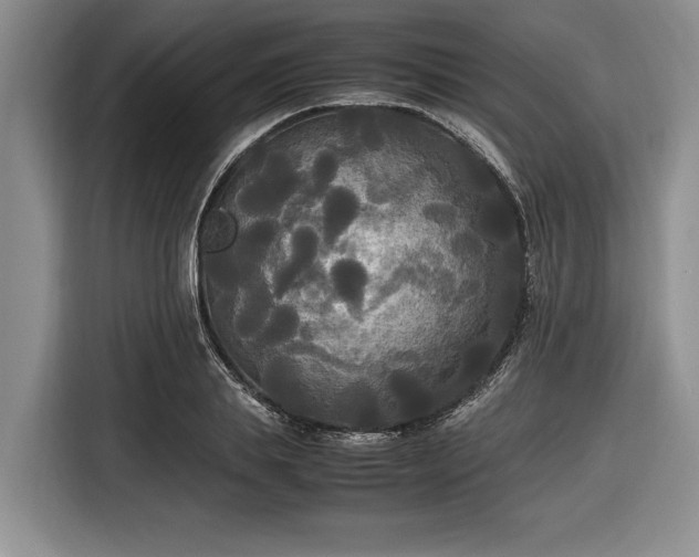 X0000116580839200912171522