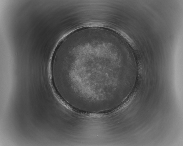 X0000116580840200912171522