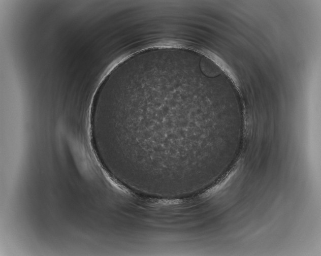 X0000116580845200912171522