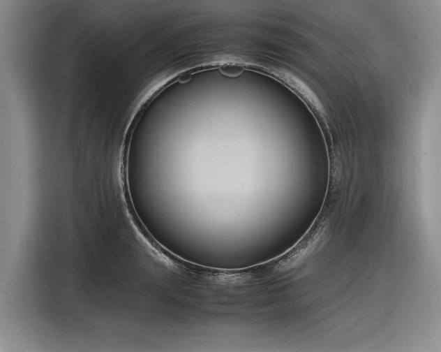 X0000116580847200912171522