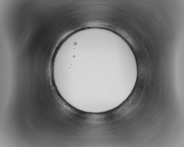 X0000116580848200912171522