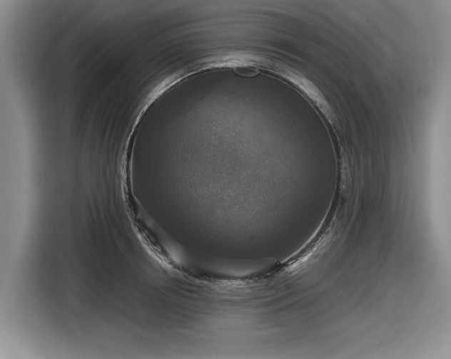 X0000116580850200912171522