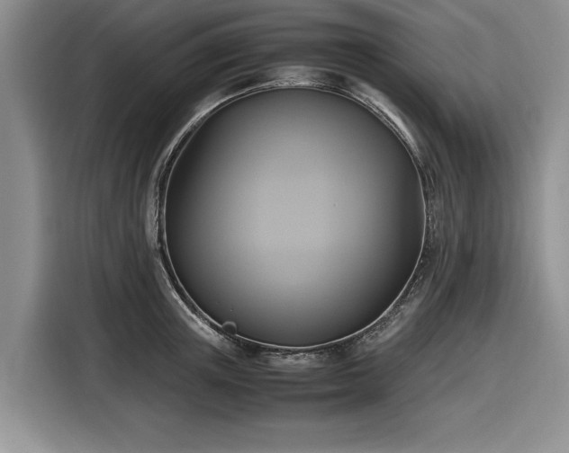 X0000116580851200912171522