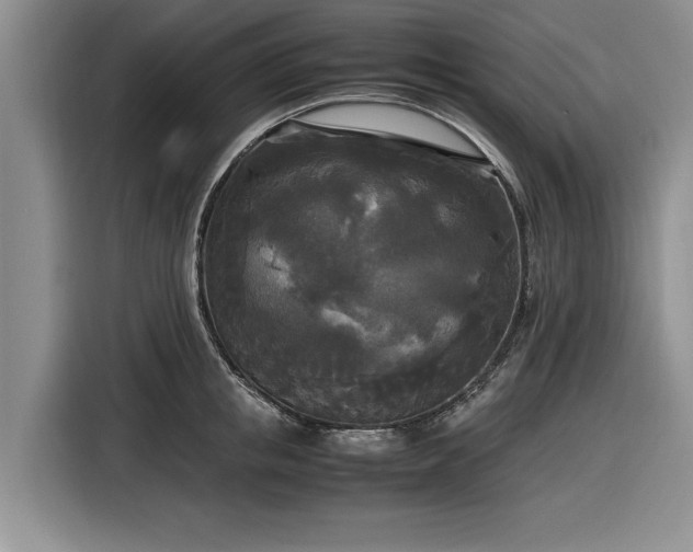 X0000116580853200912171522