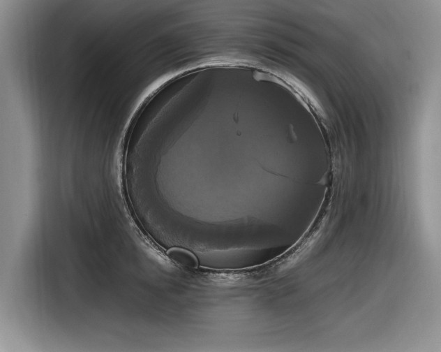 X0000116580854200912171522