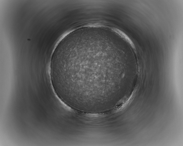 X0000116580855200912171522