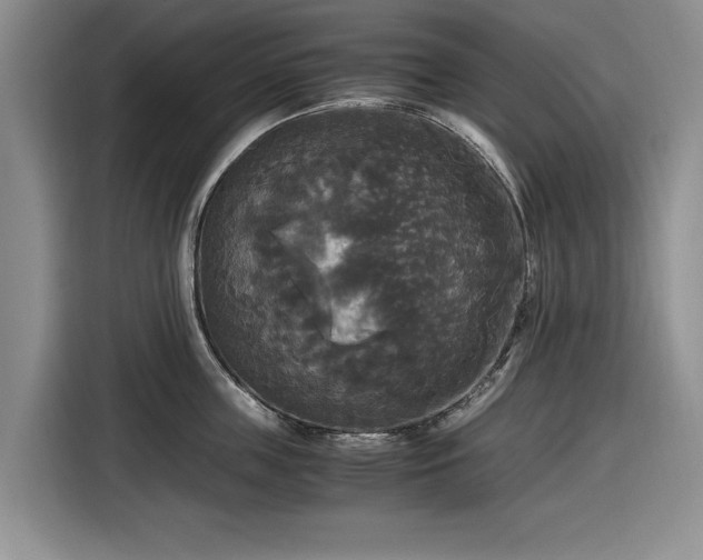 X0000116580859200912171522