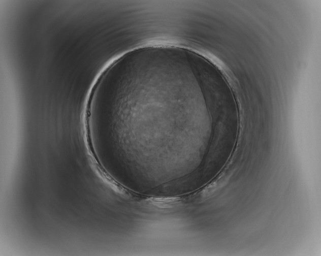 X0000116580864200912171522