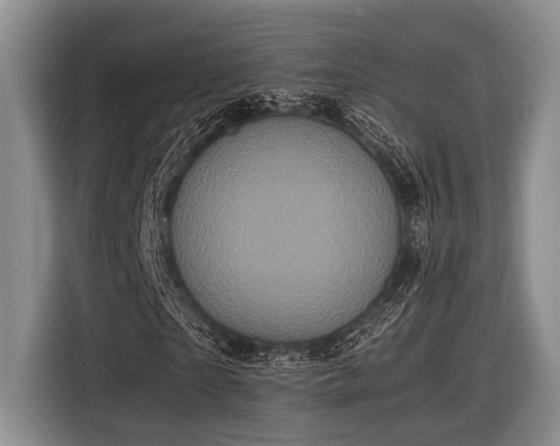 X0000116580865200912171522