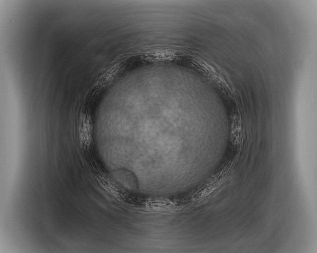 X0000116580866200912171522