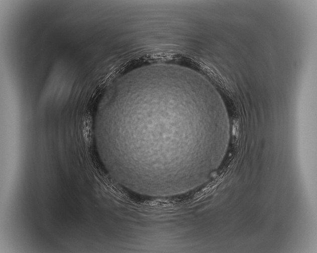 X0000116580867200912171522