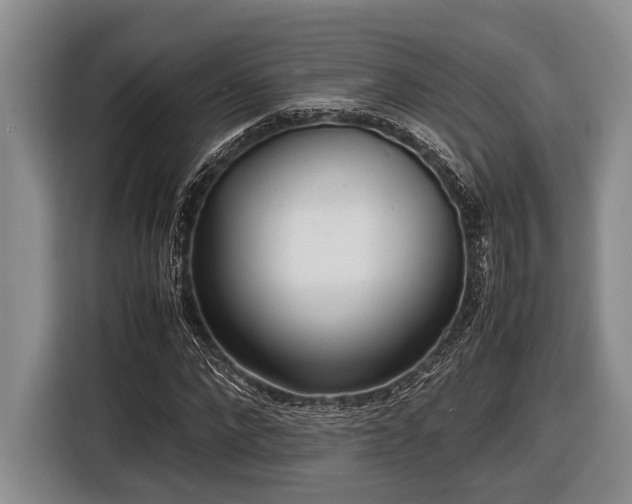 X0000116580872200912171522