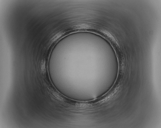 X0000116580873200912171522