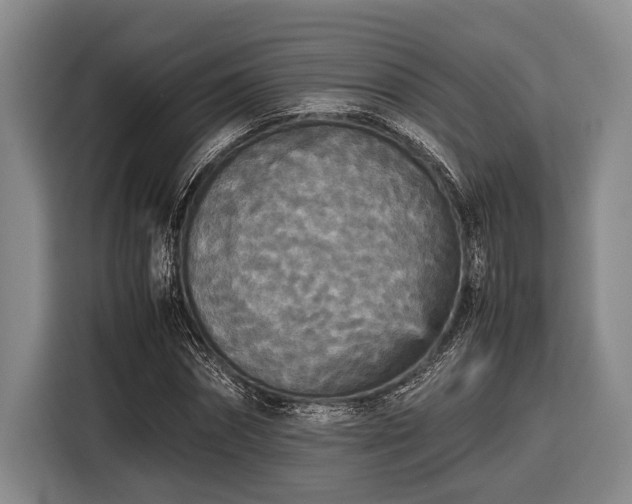 X0000116580874200912171522