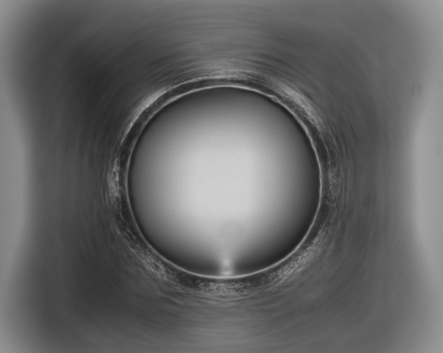 X0000116580875200912171522