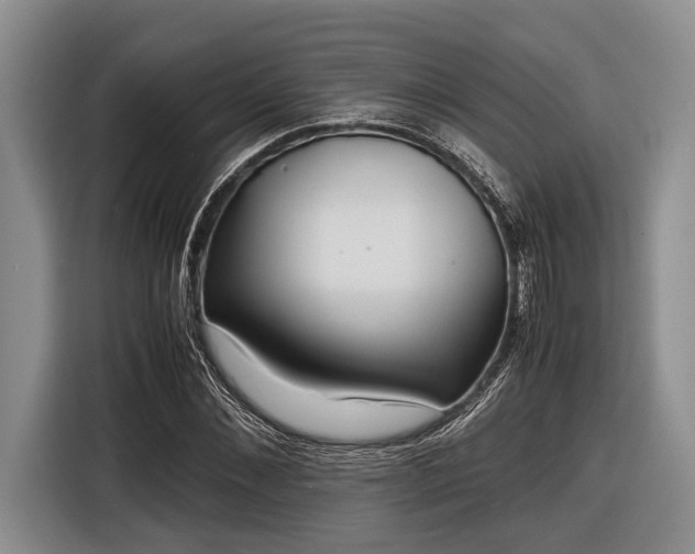 X0000116580876200912171522