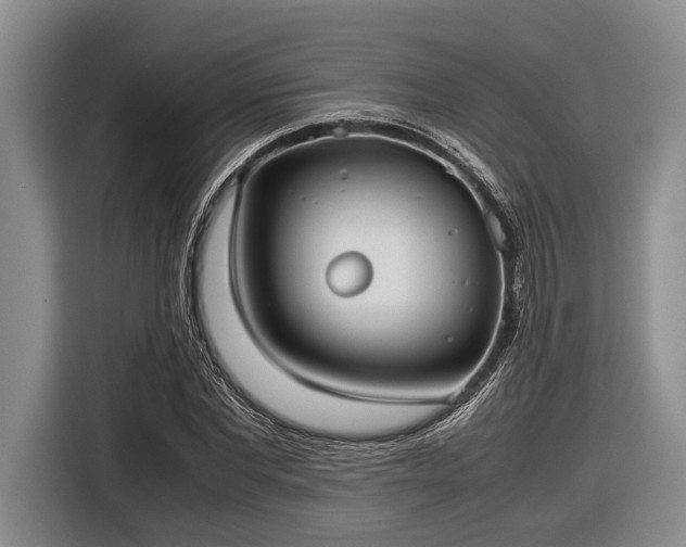 X0000116580877200912171522