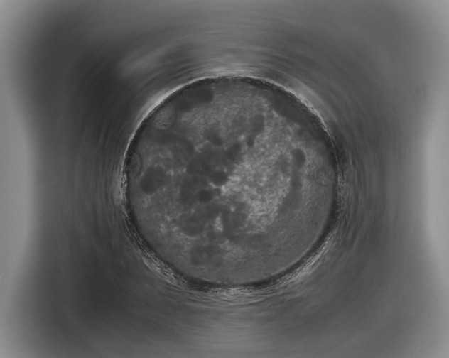 X0000116580879200912171522