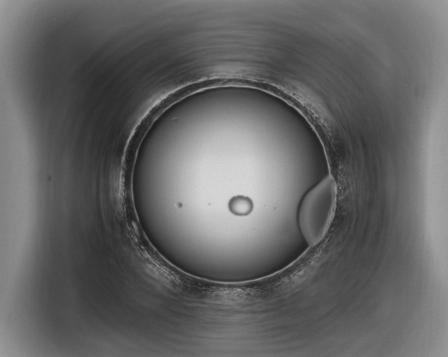 X0000116580880200912171522