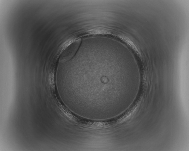 X0000116580881200912171522