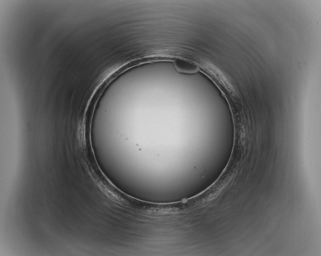 X0000116580884200912171521