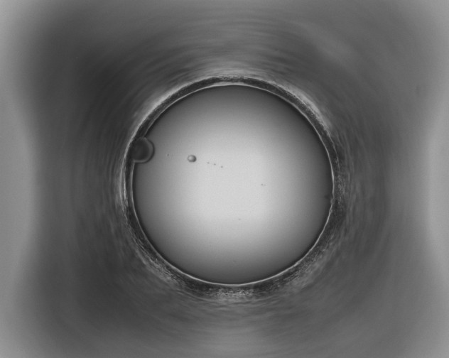 X0000116580887200912171521