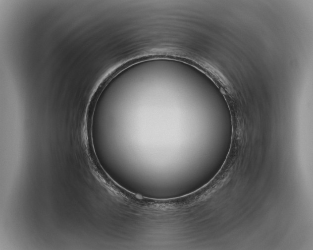 X0000116580888200912171521