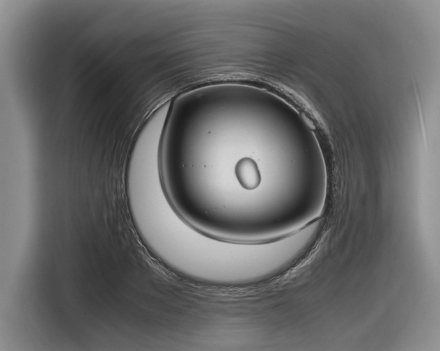 X0000116580889200912171521