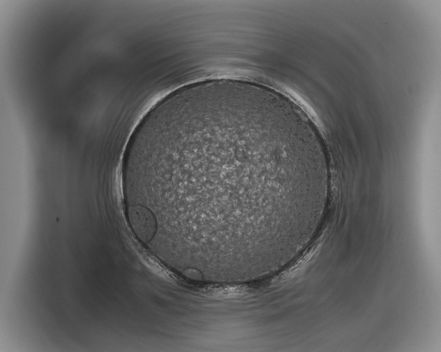 X0000116580891200912171521