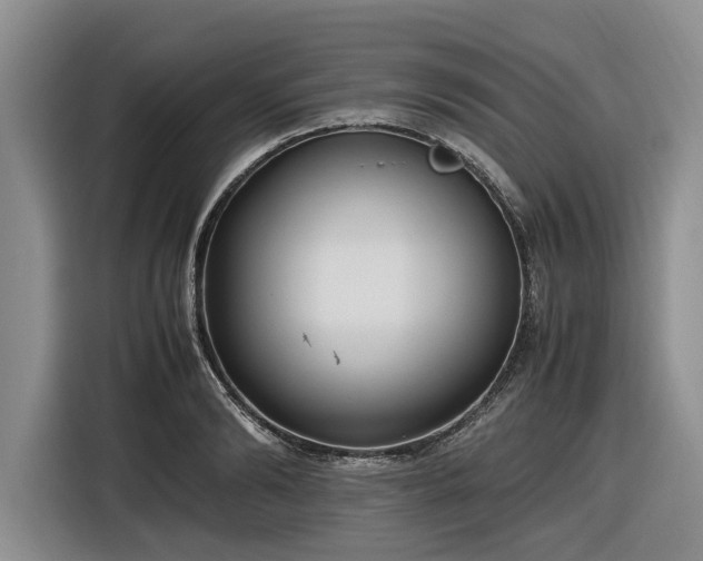 X0000116580894200912171521