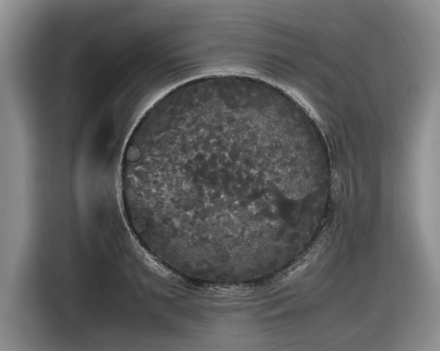 X0000116580895200912171521