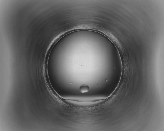 X0000116580896200912171521