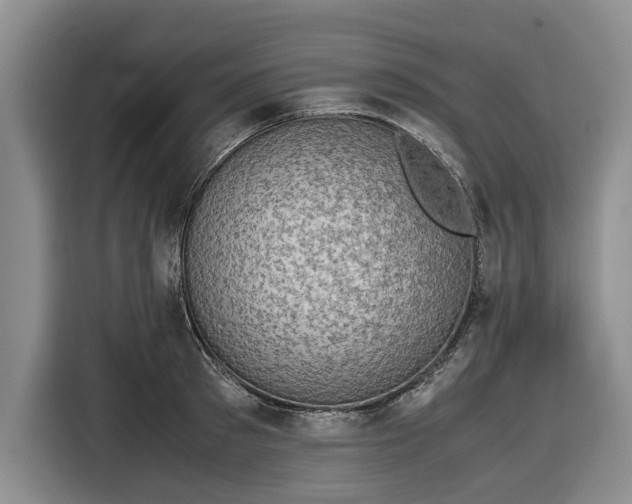 X0000116580897200912171521