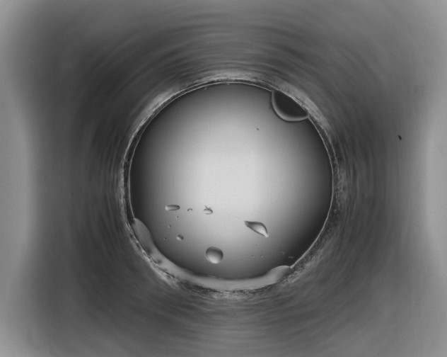 X0000116580898200912171521