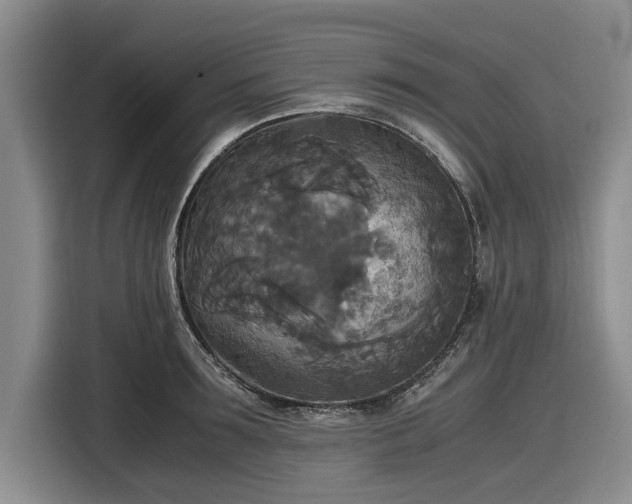 X0000116580899200912171521