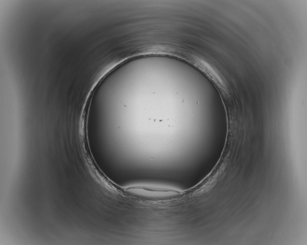 X0000116580900200912171521